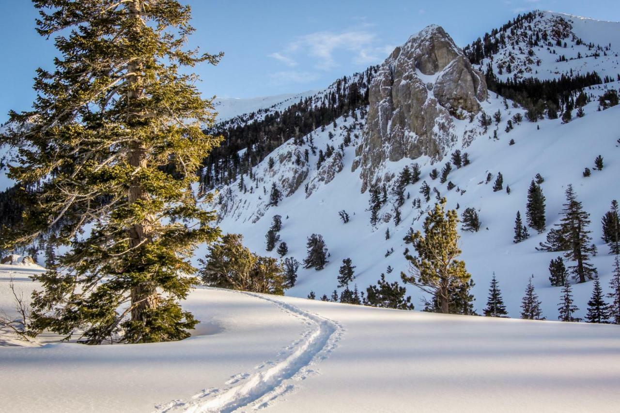 The Summit 72 Apartment Mammoth Lakes Bagian luar foto